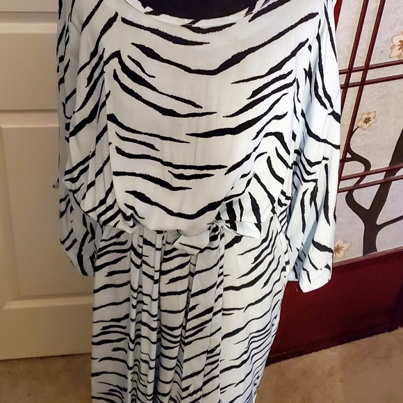 Zebra Print Jumpsuit & Zebra Print Shoes - Picture 2 of 6